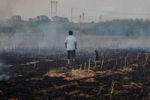 Climate Change Made Summer Hotter and Drier Worldwide, Study Finds