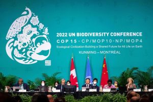 COP 15 closes with commitment to stop extinctions