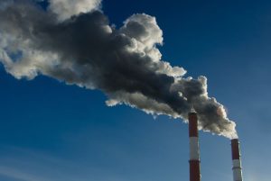 Holy Cow!  White House-Backed Carbon Tax in Sight