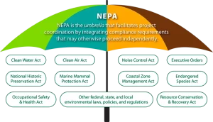 NEPA schematic