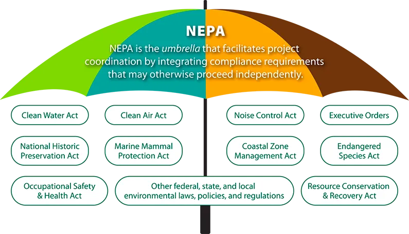 NEPA schematic