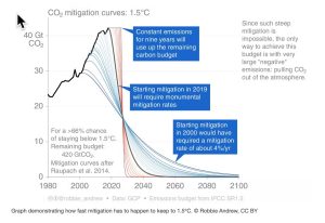 Climate scientists: concept of net zero is a dangerous trap