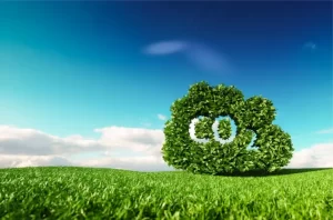 CCL applauds inclusion of Growing Climate Solutions Act in omnibus