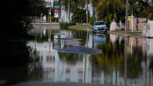 Miami flood king tide