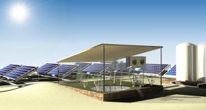 These Solar Panels Help Grow Crops in the Desert