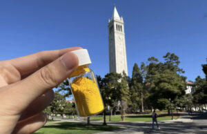 8 oz. of this powder captures as much CO2 from the air as a tree