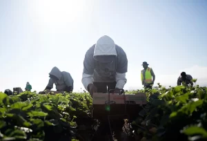 Lobby for strong climate policies in the Farm Bill. What you need to know.