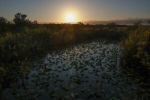 Scientists may have solved the mystery behind a top climate threat